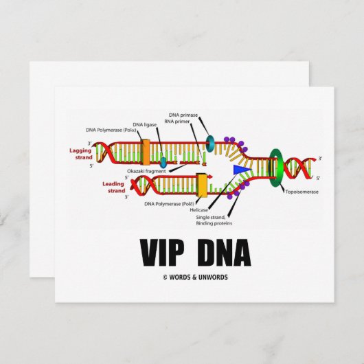 VIP DNA (DNA Replication Humor) (Front/Back)