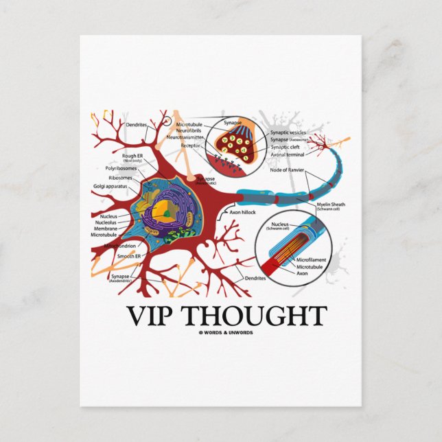 VIP Thought (Neuron / Synapse Humor) Postcard (Front)