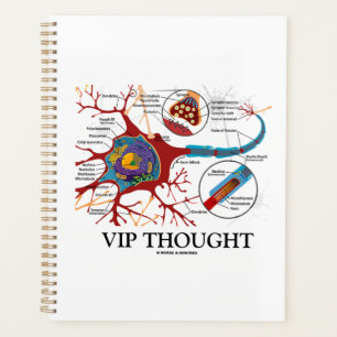 VIP Thought Neuron Synapse Neurotransmitter Humor Planner