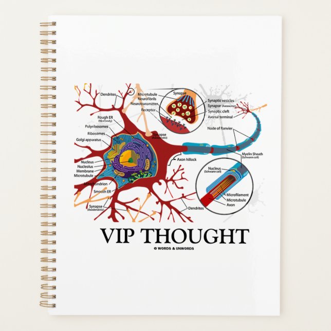 VIP Thought Neuron Synapse Neurotransmitter Humor Planner (Front)