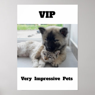VIP Very Impressive Pets Cute cat dog Poster