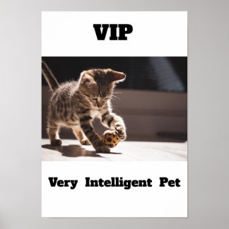 VIP Very Intelligent Pet Adorable cat Poster
