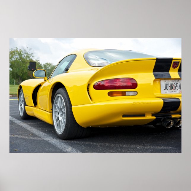 Viper Poster (Front)