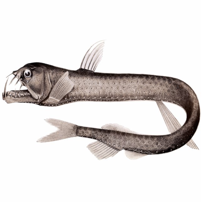 Viperfish Cutout Magnet/Sculpture (Front)