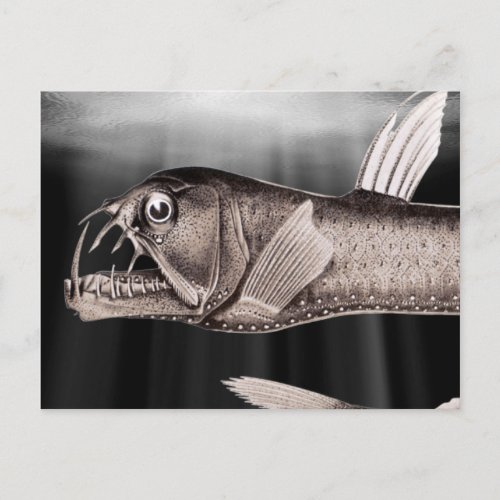 Viperfish Postcards