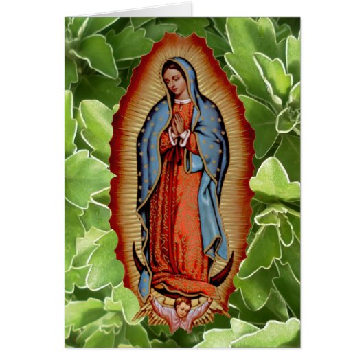 VIRGEN DE GUADALUPE COLECTION CARDS (Front)