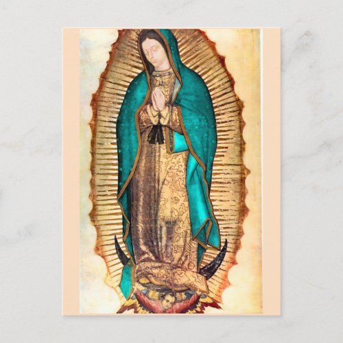 Virgen de Guadalupe Postcard