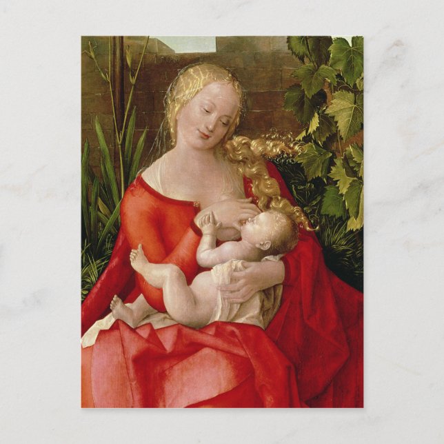 Virgin and Child 'Madonna with the Iris', 1508 Postcard (Front)