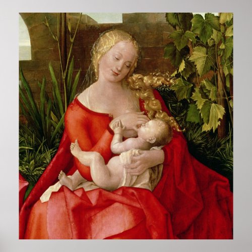 Virgin and Child Madonna with the Iris 1508 Poster