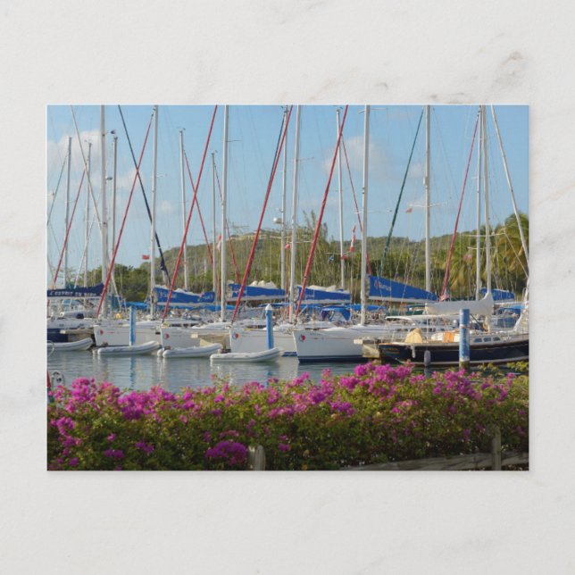 Virgin Gorda Yacht Harbor Postcard (Front)