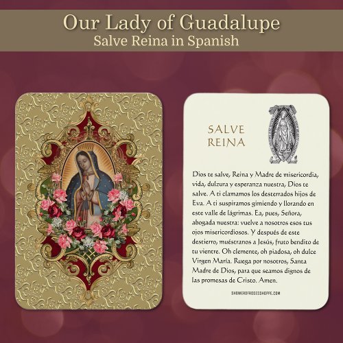 Virgin Mary Salve Reina Spanish Prayer Holy Card