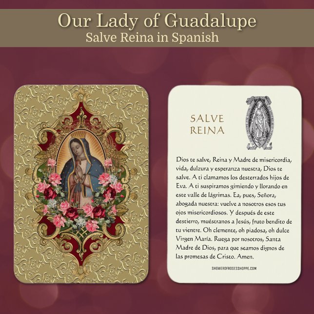 Virgin Mary Salve Reina Spanish Prayer Holy Card (Our Lady of Guadalupe Prayer in Spanish (Hail Holy Queen - Salve Reina) )