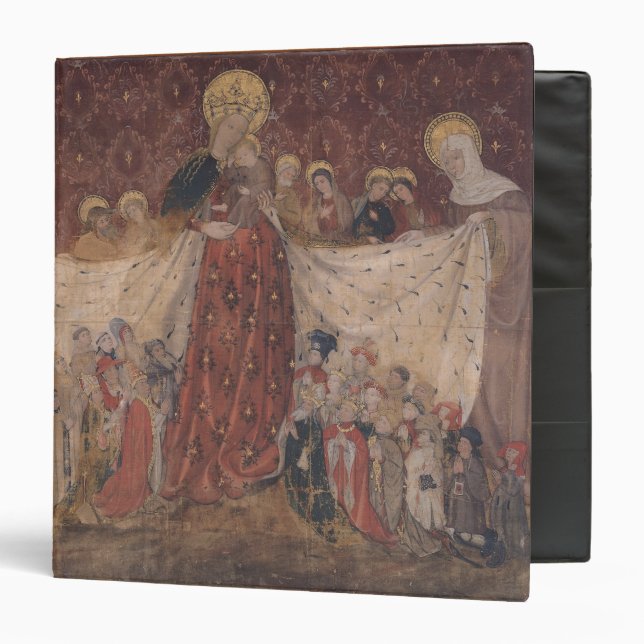 Virgin Protector, c.1417 Binder (Front/Inside)