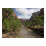 Virgin River in Spring at Zion National Park