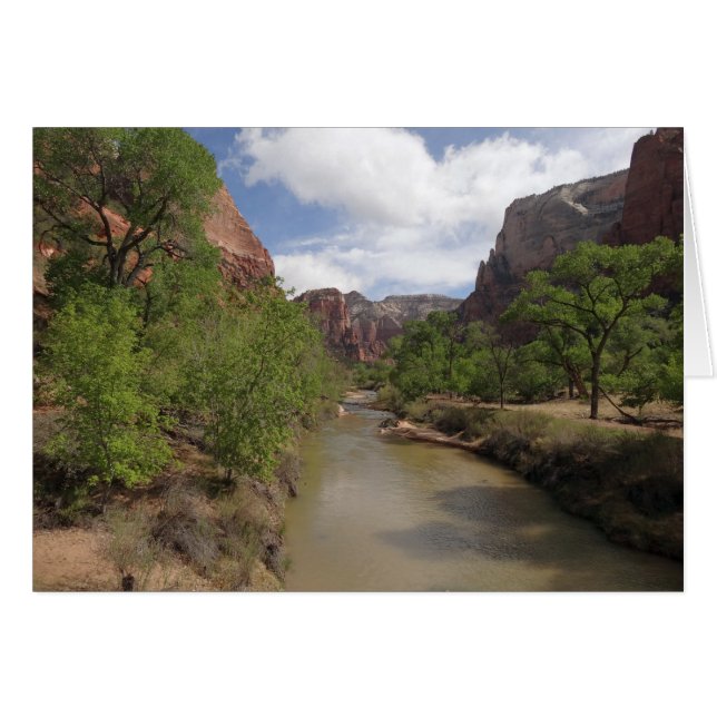 Virgin River in Spring at Zion National Park Cards (Front Horizontal)