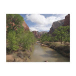 Virgin River in Spring at Zion National Park Postcard