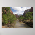 Virgin River in Spring at Zion National Park Poster