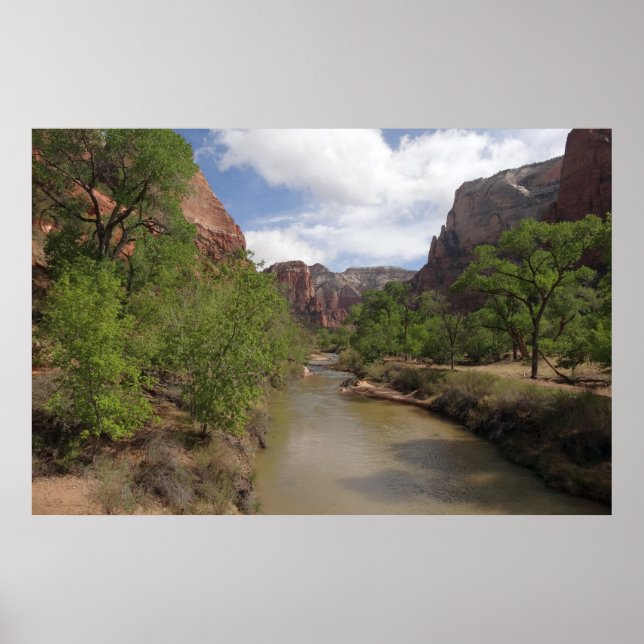 Virgin River in Spring at Zion National Park Poster (Front)