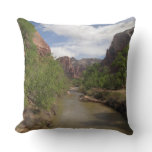 Virgin River in Spring at Zion National Park Throw Pillow