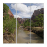 Virgin River in Spring at Zion National Park Triptych