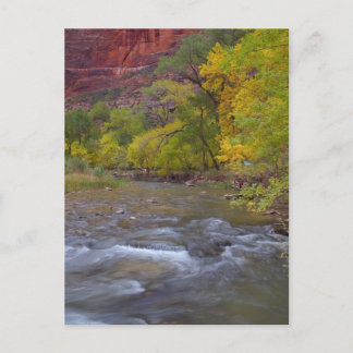 Virgin River Near The End Where The Narrows Start Postcard