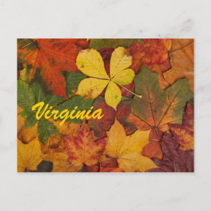 Virginia Autumn Leaves Postcard