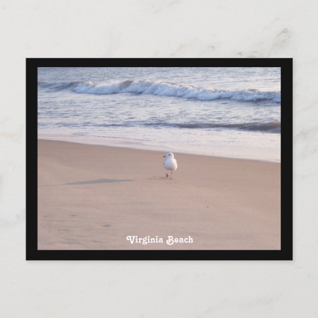 Virginia Beach Postcard (Front)