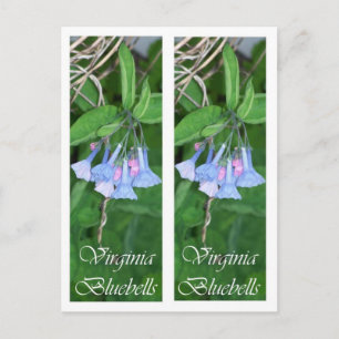 VIRGINIA BLUEBELLS BOOKMARKS POSTCARD