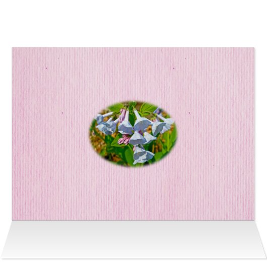 Virginia Bluebells Happy Birthday Coordinated Item (Inside Horizontal (Top))