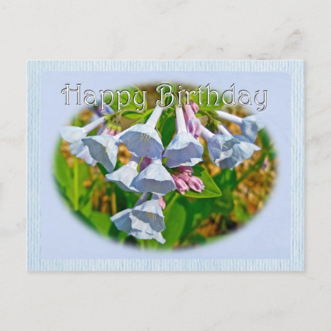 Virginia Bluebells Happy Birthday Coordinated Item Postcard (Front)