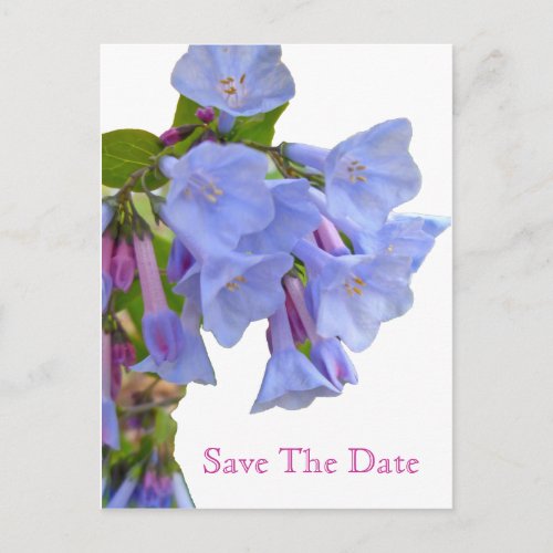 Virginia Bluebells Save the Date Announcement Postcard