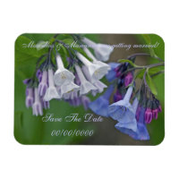 Virginia Bluebells Wildflowers - Save The Date