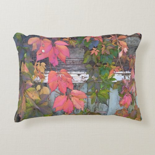 Virginia Creeper on Old Shed Accent Pillow
