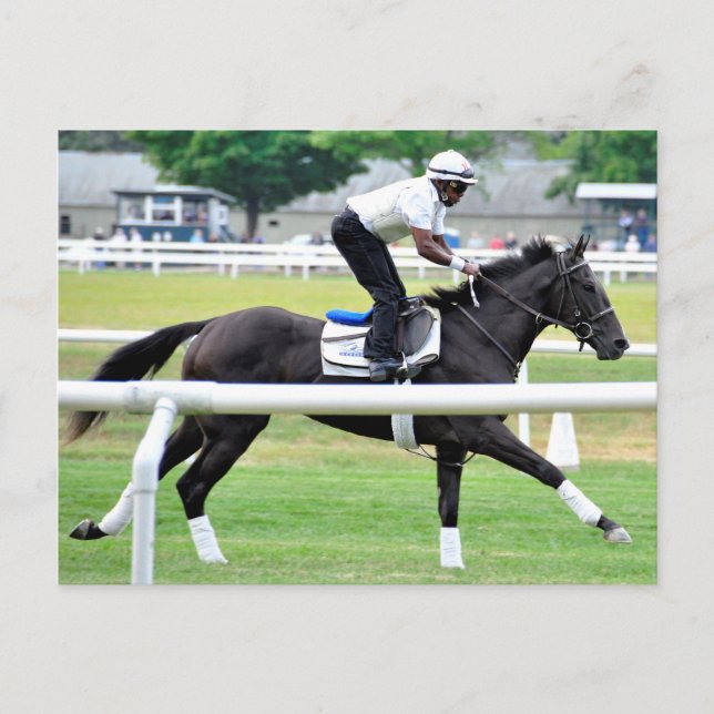 Virginia Derby Winner "War Dancer" Postcard (Front)