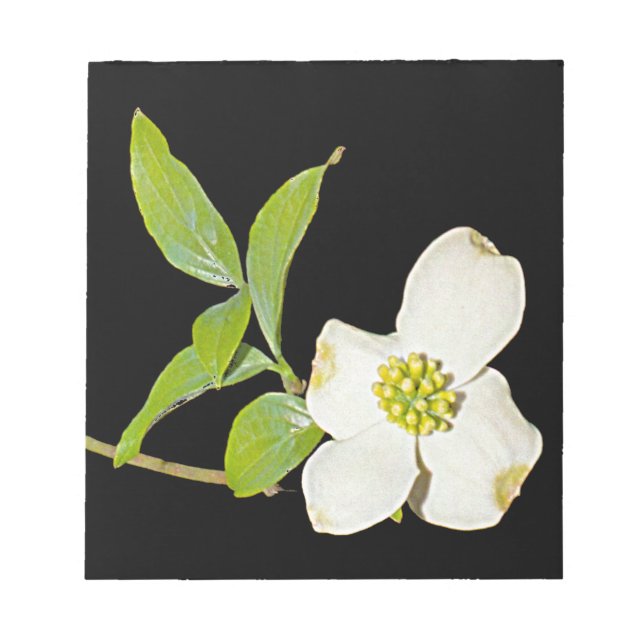 Virginia Dogwood Notepad (Front)