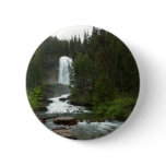 Virginia Falls at Glacier National Park Button