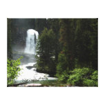 Virginia Falls at Glacier National Park Canvas Print