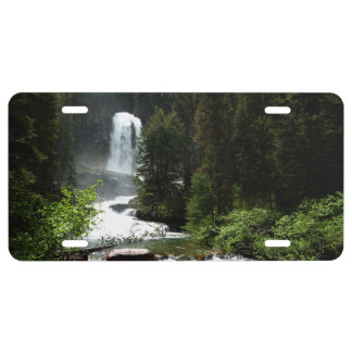 Virginia Falls at Glacier National Park License Plate