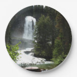 Virginia Falls at Glacier National Park Paper Plates