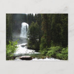 Virginia Falls at Glacier National Park Postcard