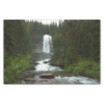 Virginia Falls at Glacier National Park Tissue Paper