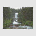 Virginia Falls at Glacier National Park Tissue Paper