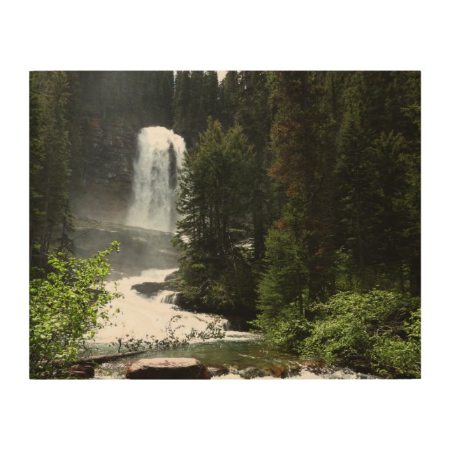 Virginia Falls at Glacier National Park Wood Wall Art (Front)