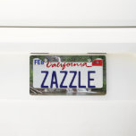 Virginia Falls II at Glacier National Park License Plate Frame