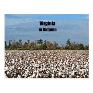 Virginia in Autumn Postcard
