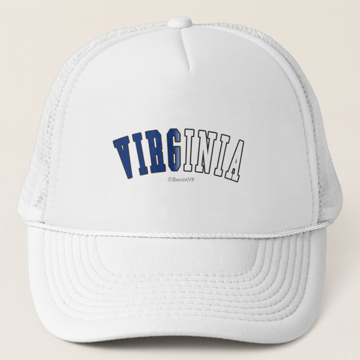 Virginia in State Flag Colors Mesh Hat