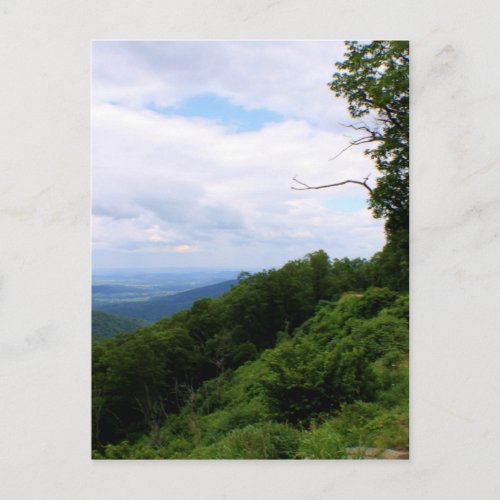Virginia Landscape Postcard