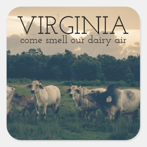 Virginia Monogram  Come Smell Our Dairy Air Quote Square Sticker