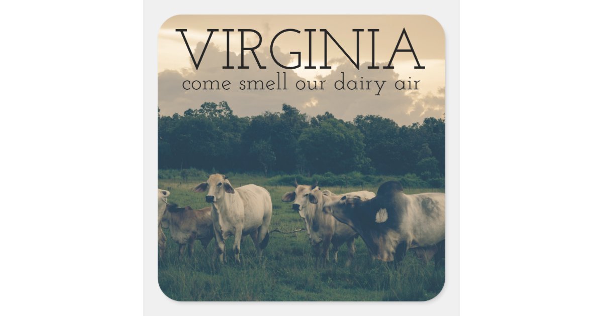 Virginia Monogram Come Smell Our Dairy Air Quote Square Sticker Zazzle