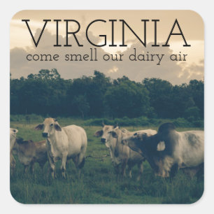 Virginia Monogram Come Smell Our Dairy Air Quote Square Sticker